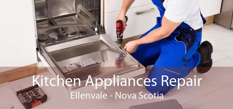 Kitchen Appliances Repair Ellenvale - Nova Scotia