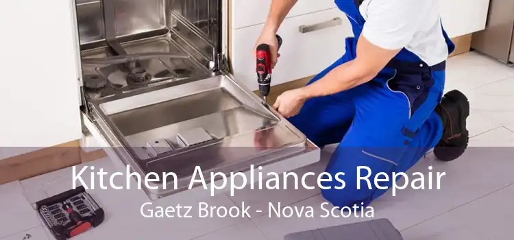 Kitchen Appliances Repair Gaetz Brook - Nova Scotia