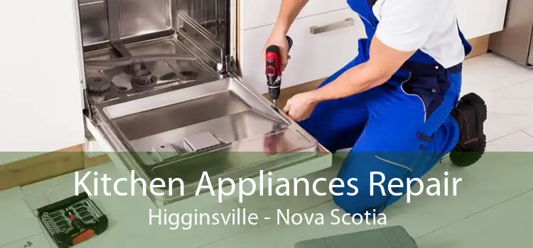 Kitchen Appliances Repair Higginsville - Nova Scotia