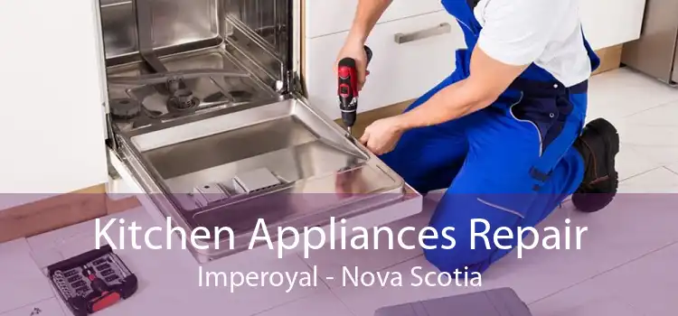 Kitchen Appliances Repair Imperoyal - Nova Scotia