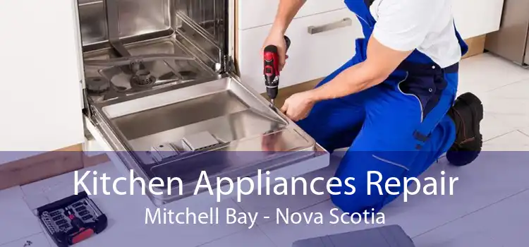 Kitchen Appliances Repair Mitchell Bay - Nova Scotia