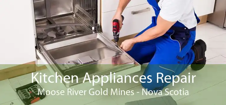 Kitchen Appliances Repair Moose River Gold Mines - Nova Scotia