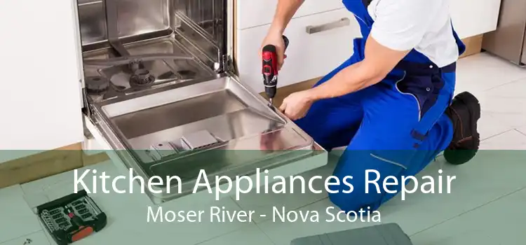 Kitchen Appliances Repair Moser River - Nova Scotia