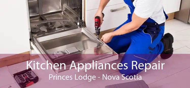 Kitchen Appliances Repair Princes Lodge - Nova Scotia