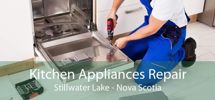 Kitchen Appliances Repair Stillwater Lake - Nova Scotia
