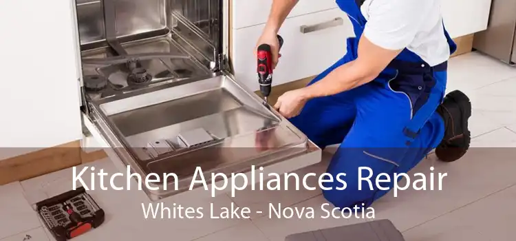 Kitchen Appliances Repair Whites Lake - Nova Scotia