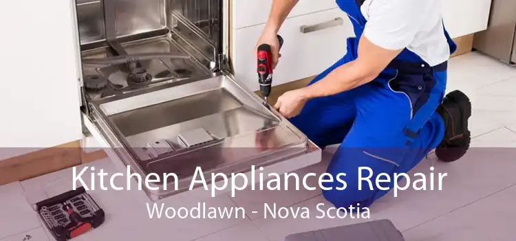 Kitchen Appliances Repair Woodlawn - Nova Scotia