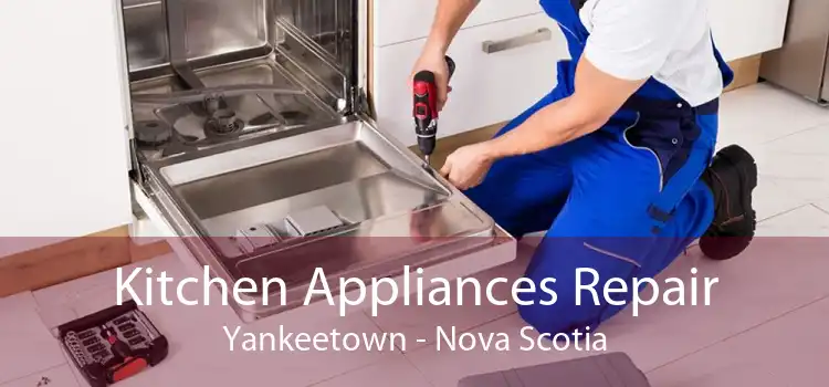 Kitchen Appliances Repair Yankeetown - Nova Scotia
