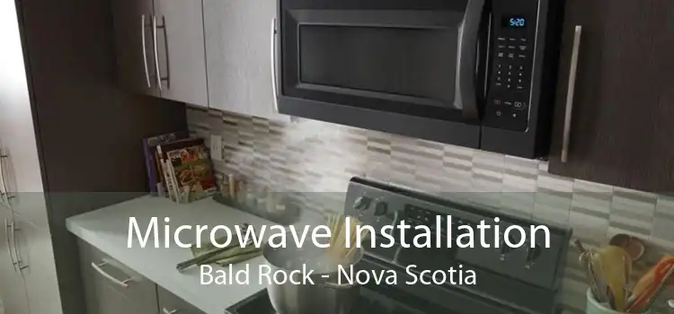 Microwave Installation Bald Rock - Nova Scotia