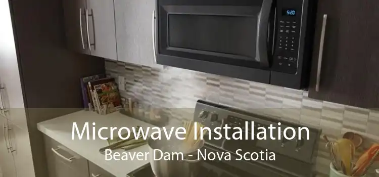 Microwave Installation Beaver Dam - Nova Scotia