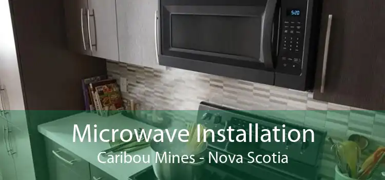 Microwave Installation Caribou Mines - Nova Scotia