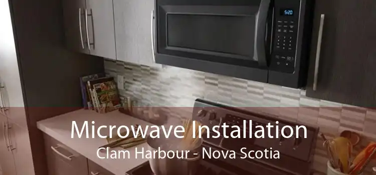 Microwave Installation Clam Harbour - Nova Scotia