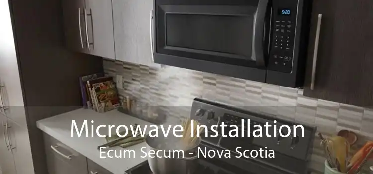 Microwave Installation Ecum Secum - Nova Scotia