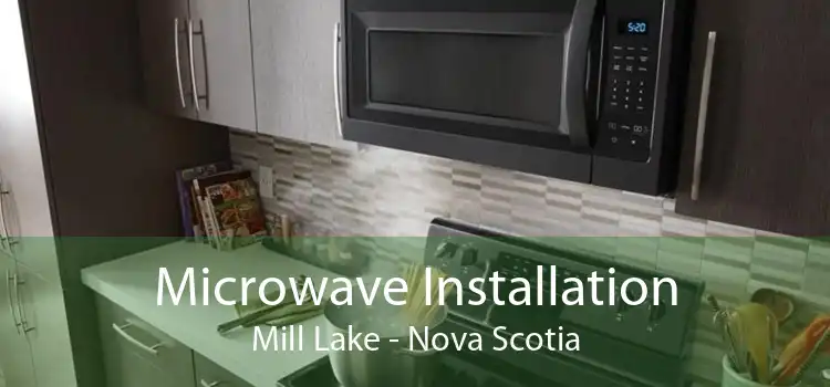 Microwave Installation Mill Lake - Nova Scotia