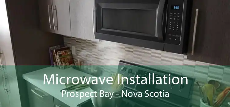 Microwave Installation Prospect Bay - Nova Scotia
