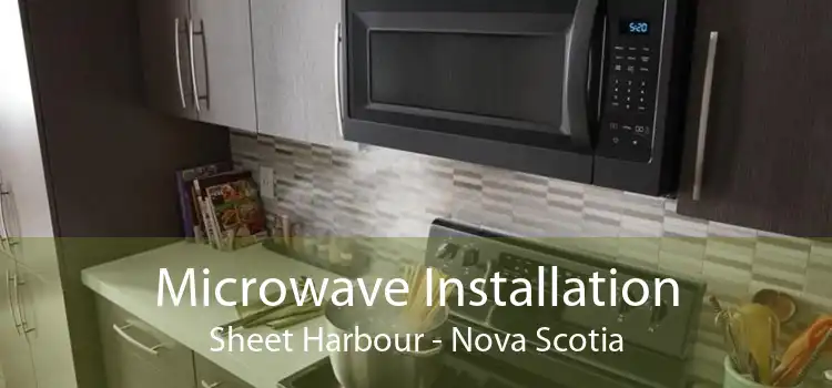 Microwave Installation Sheet Harbour - Nova Scotia