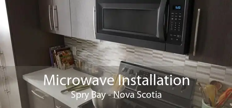 Microwave Installation Spry Bay - Nova Scotia