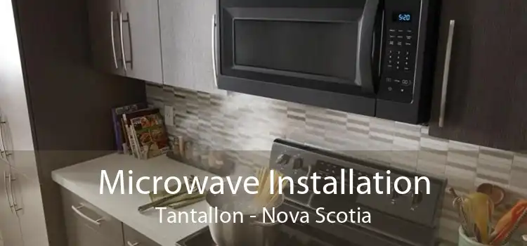 Microwave Installation Tantallon - Nova Scotia