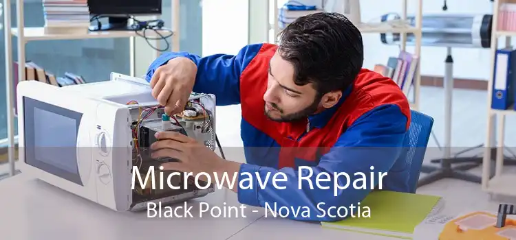 Microwave Repair Black Point - Nova Scotia