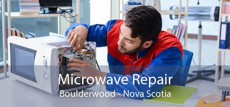 Microwave Repair Boulderwood - Nova Scotia