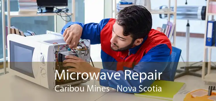 Microwave Repair Caribou Mines - Nova Scotia