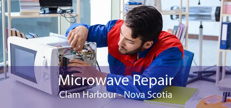 Microwave Repair Clam Harbour - Nova Scotia