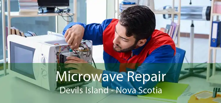 Microwave Repair Devils Island - Nova Scotia