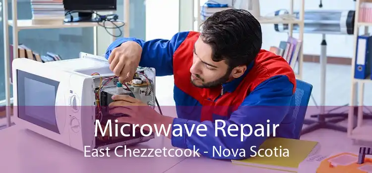 Microwave Repair East Chezzetcook - Nova Scotia