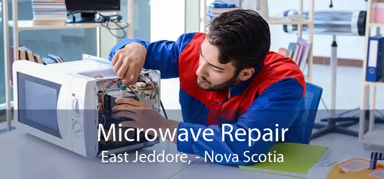 Microwave Repair East Jeddore, - Nova Scotia