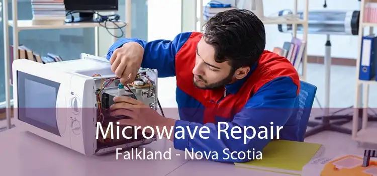 Microwave Repair Falkland - Nova Scotia