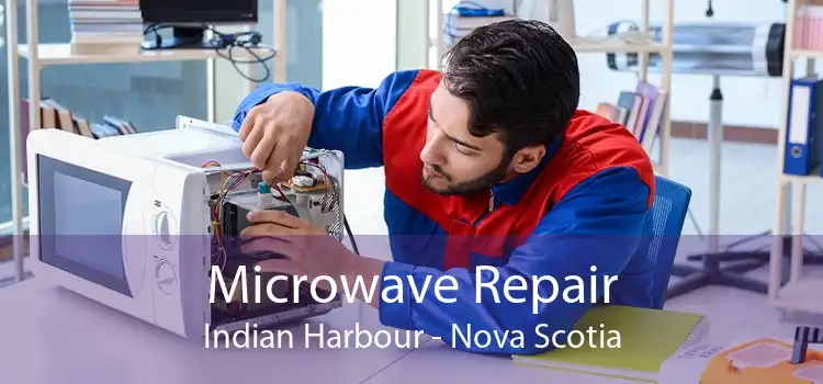 Microwave Repair Indian Harbour - Nova Scotia