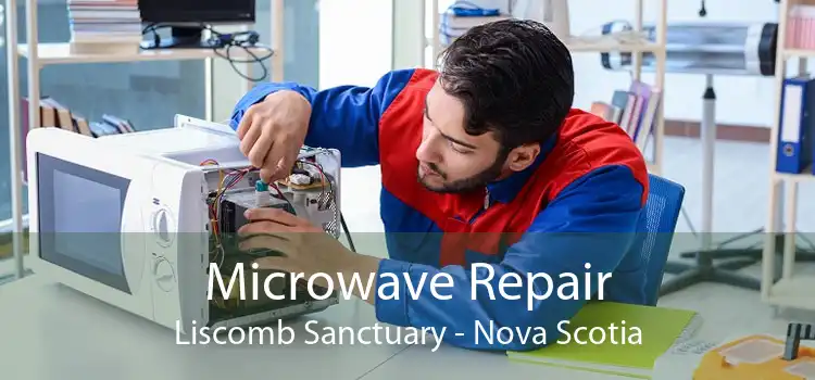 Microwave Repair Liscomb Sanctuary - Nova Scotia