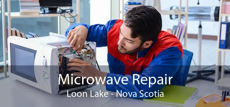 Microwave Repair Loon Lake - Nova Scotia