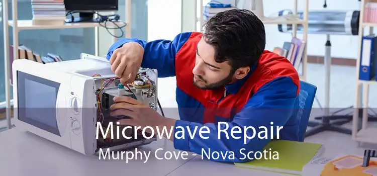 Microwave Repair Murphy Cove - Nova Scotia