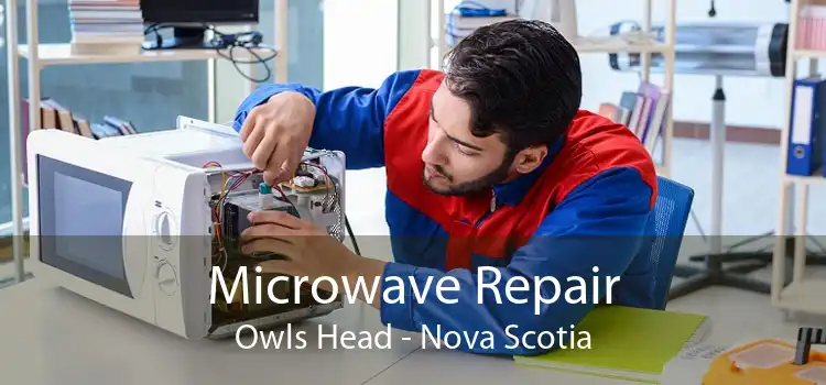Microwave Repair Owls Head - Nova Scotia