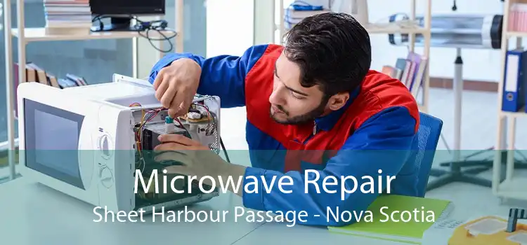 Microwave Repair Sheet Harbour Passage - Nova Scotia