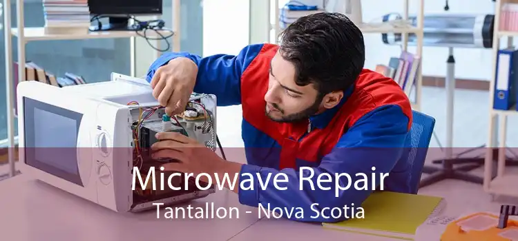 Microwave Repair Tantallon - Nova Scotia