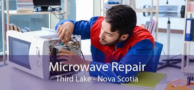 Microwave Repair Third Lake - Nova Scotia