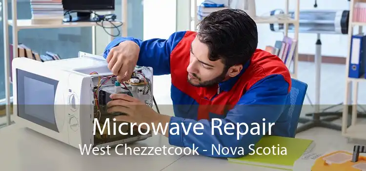Microwave Repair West Chezzetcook - Nova Scotia