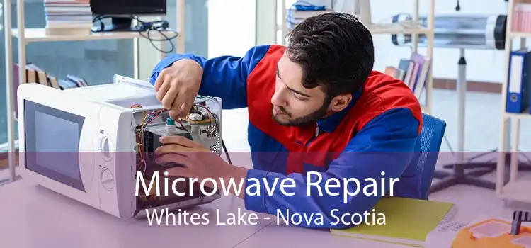 Microwave Repair Whites Lake - Nova Scotia