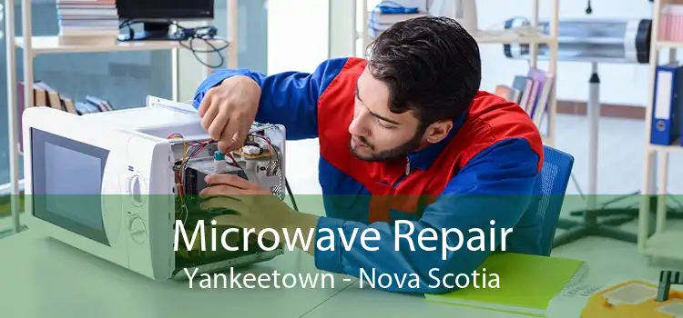 Microwave Repair Yankeetown - Nova Scotia