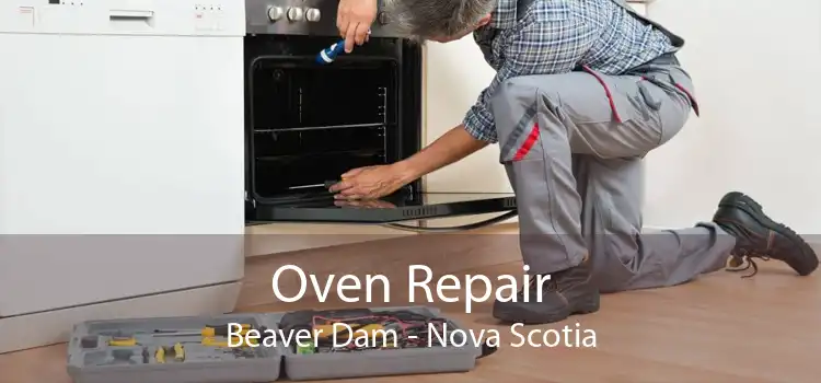 Oven Repair Beaver Dam - Nova Scotia