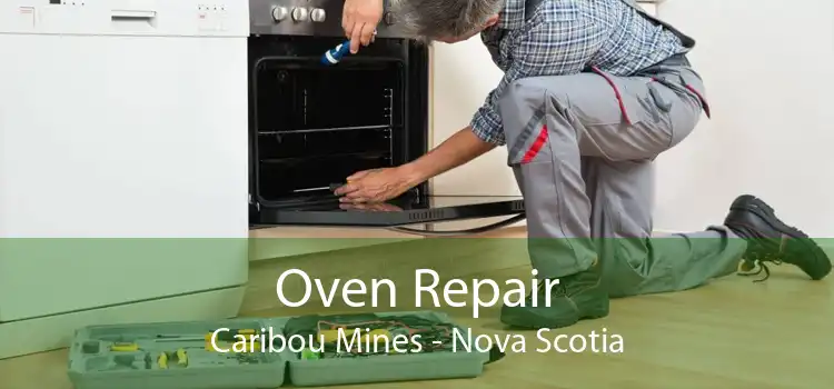 Oven Repair Caribou Mines - Nova Scotia