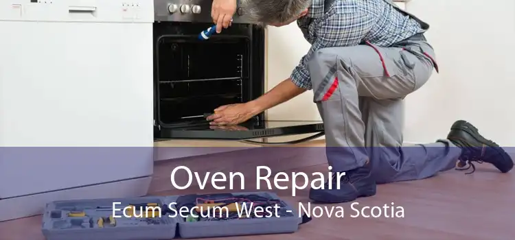 Oven Repair Ecum Secum West - Nova Scotia