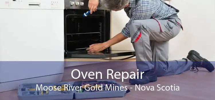 Oven Repair Moose River Gold Mines - Nova Scotia
