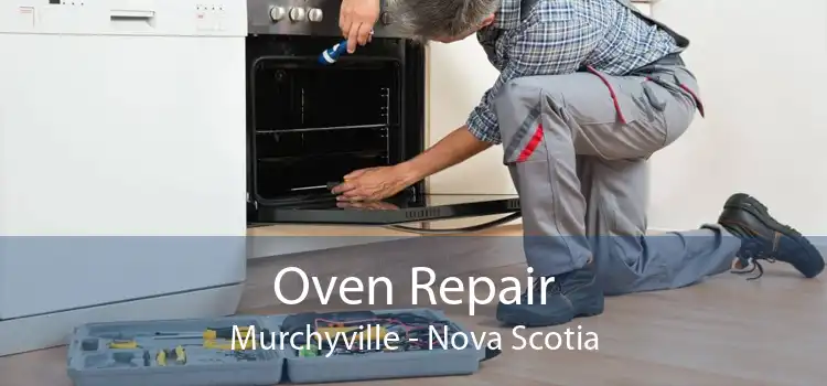 Oven Repair Murchyville - Nova Scotia