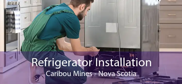 Refrigerator Installation Caribou Mines - Nova Scotia