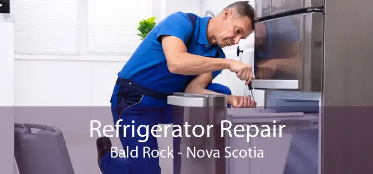 Refrigerator Repair Bald Rock - Nova Scotia