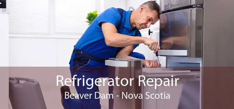 Refrigerator Repair Beaver Dam - Nova Scotia