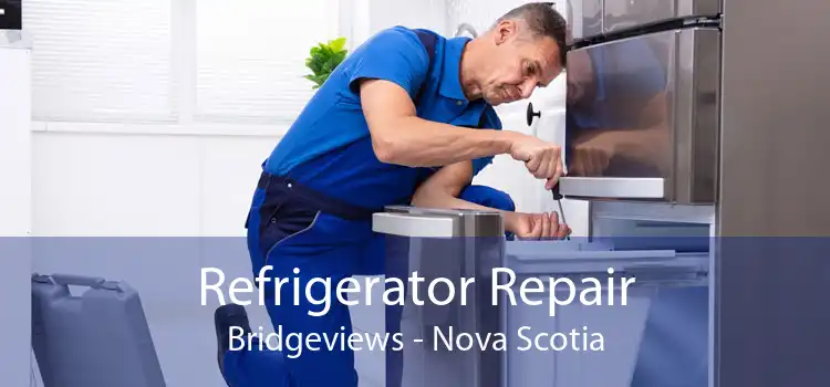 Refrigerator Repair Bridgeviews - Nova Scotia